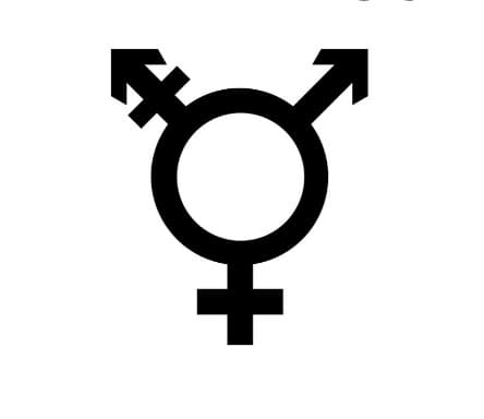 transgender Logo